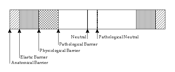 Range of Motion Barriers