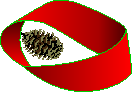 image: Christmas mobius with pine cone